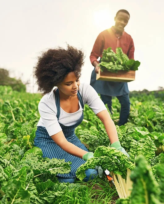 Professional farm management team